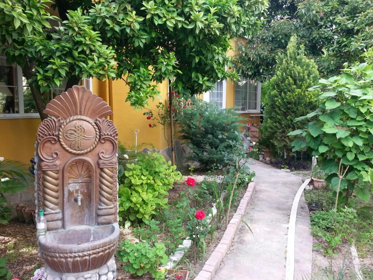 בלדיבי Santana Hotel מראה חיצוני תמונה